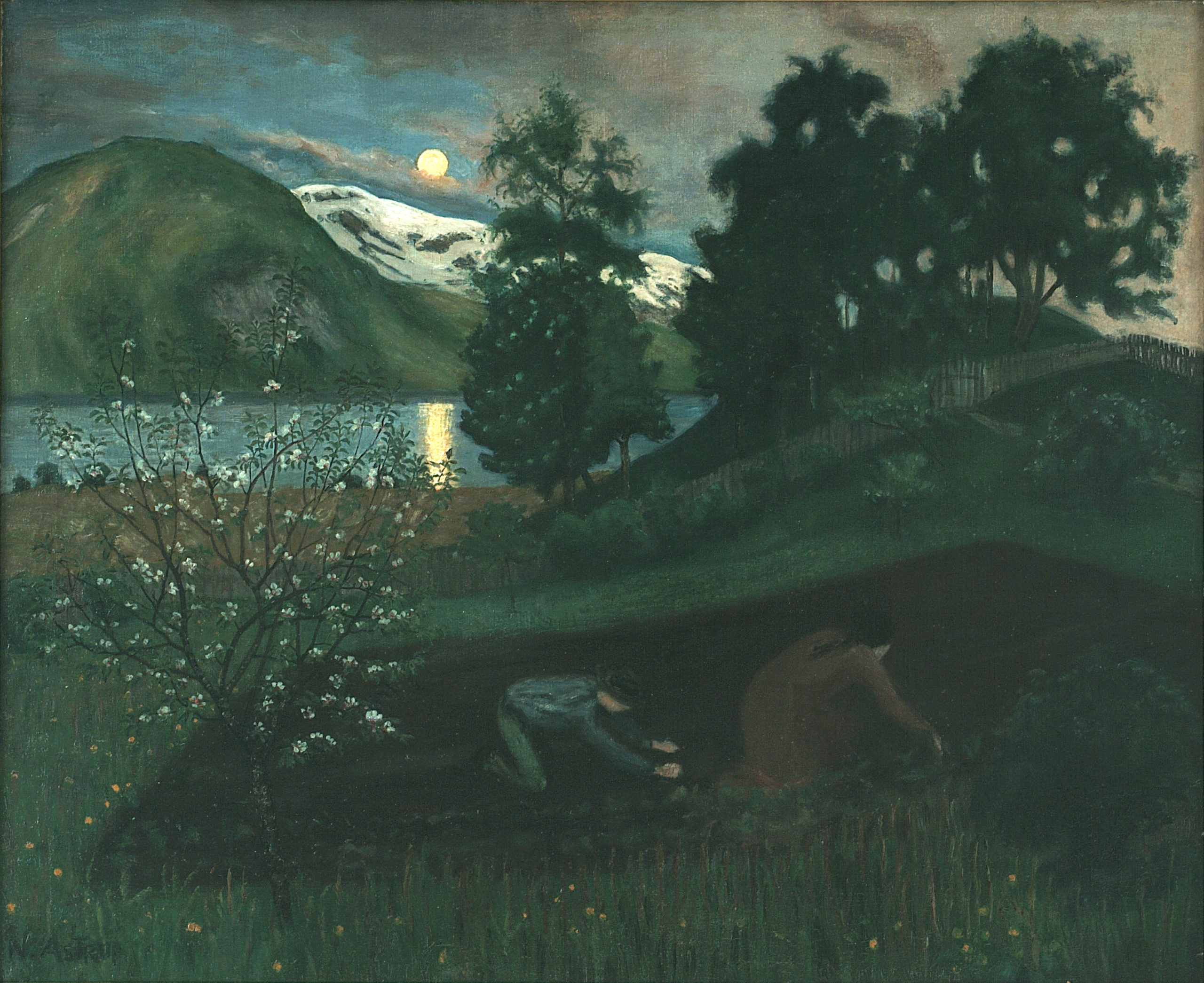 Vårnatt i hagen