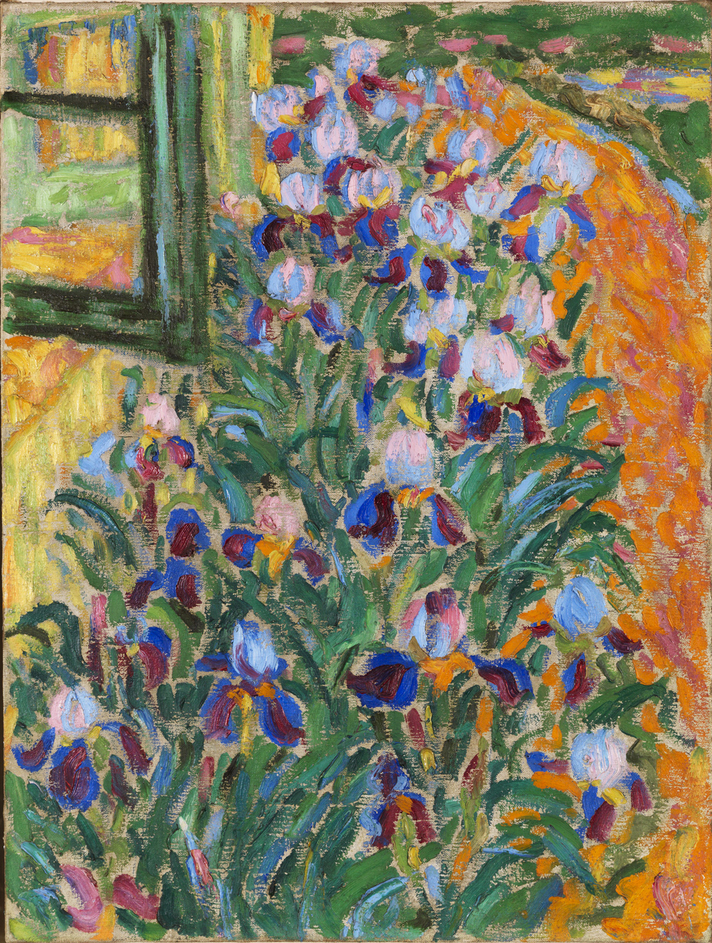Blaue Iris