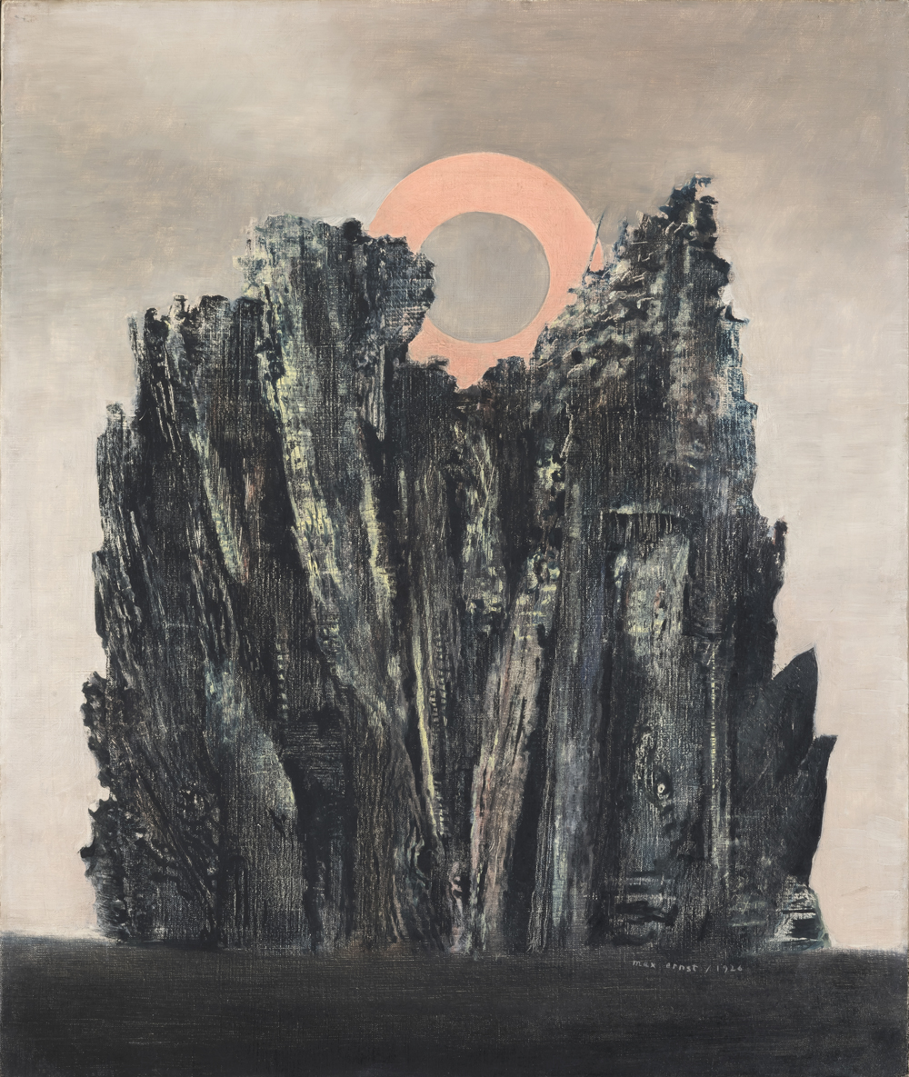 Forêt et soleil